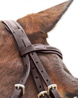 Horze Prescott Figure 8 Bridle - Horse & Hound Tack Shop