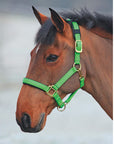 Shires Topaz Nylon Breakaway Halter - Horse & Hound Tack Shop