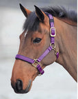 Shires Topaz Nylon Breakaway Halter - Horse & Hound Tack Shop