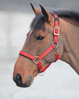 Shires Topaz Nylon Breakaway Halter - Horse & Hound Tack Shop