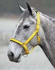 Shires Topaz Nylon Breakaway Halter - Horse & Hound Tack Shop