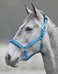 Shires Topaz Nylon Breakaway Halter - Horse & Hound Tack Shop