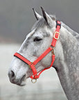 Shires Topaz Nylon Breakaway Halter - Horse & Hound Tack Shop