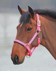 Shires Topaz Nylon Breakaway Halter - Horse & Hound Tack Shop