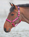 Shires Topaz Nylon Breakaway Halter - Horse & Hound Tack Shop
