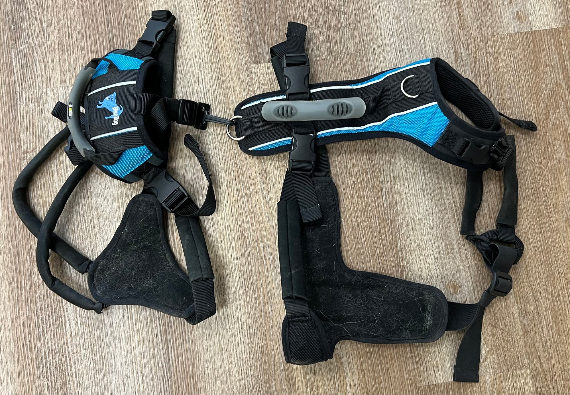 Help em’ Up Dog Harness by Blue Dog XL - Horse & Hound Tack Shop 