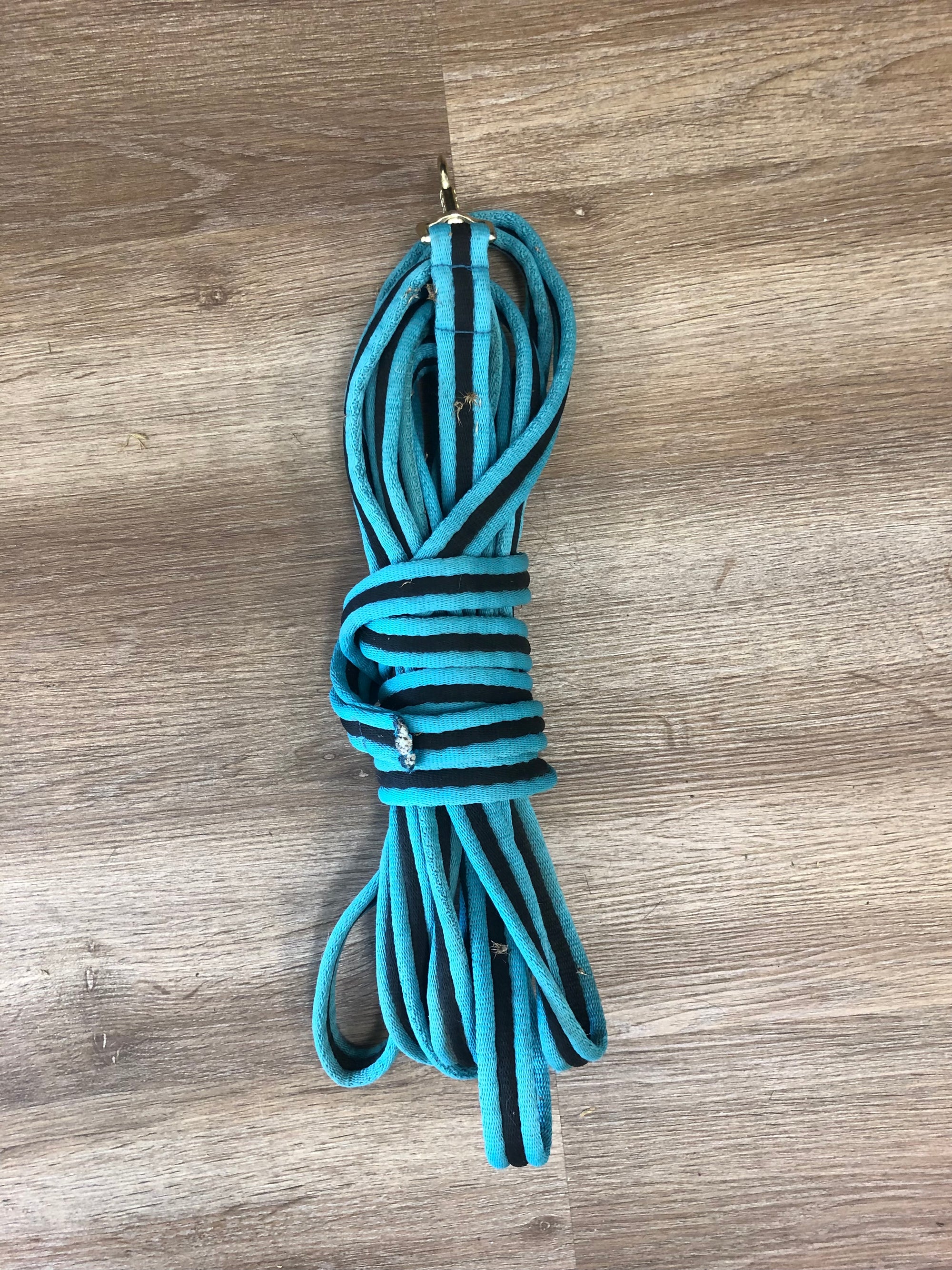 Teal &amp; Navy Lunge Line