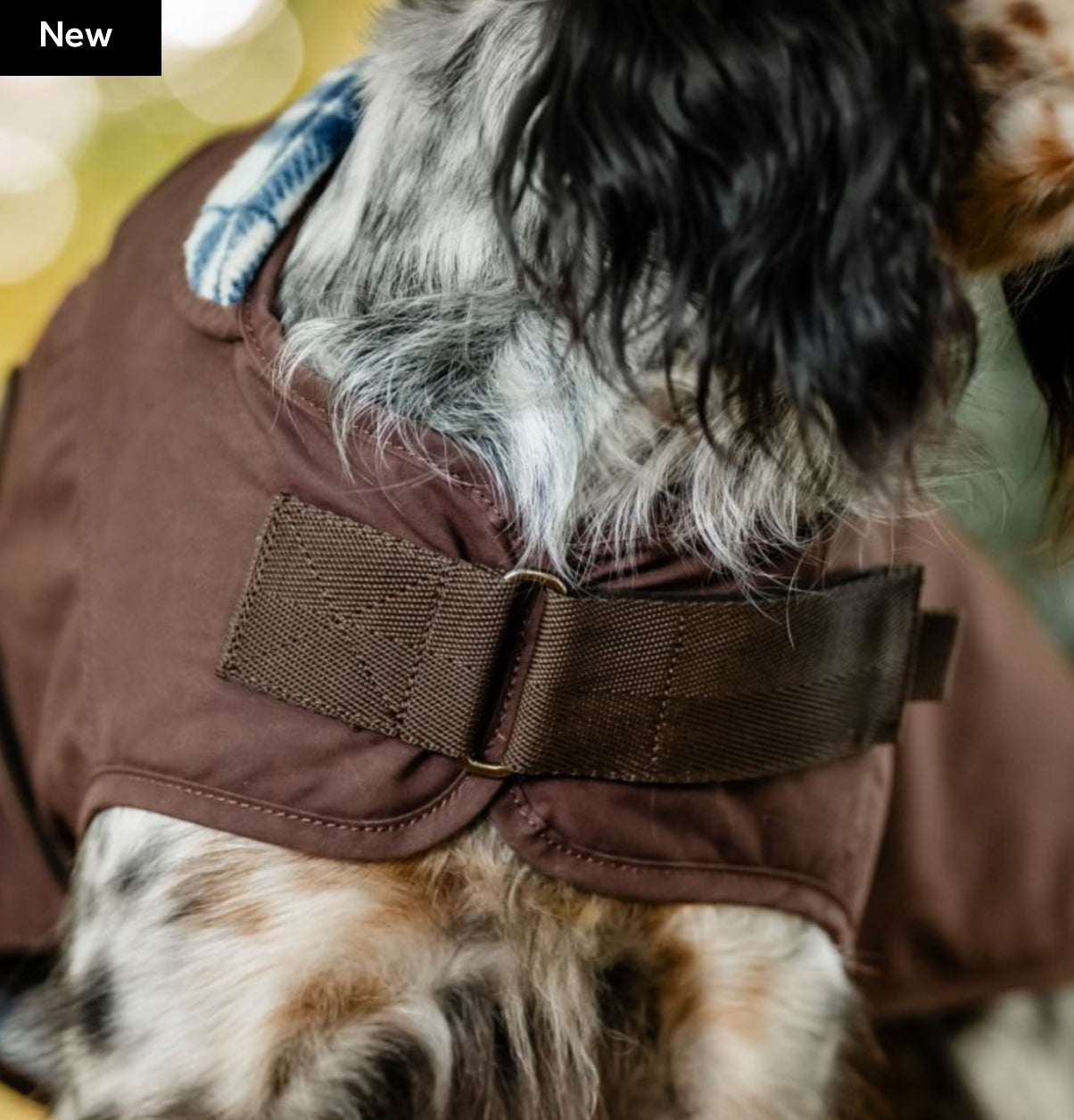 Horseware® Newmarket Heritage Dog Coat - Horse & Hound Tack Shop 