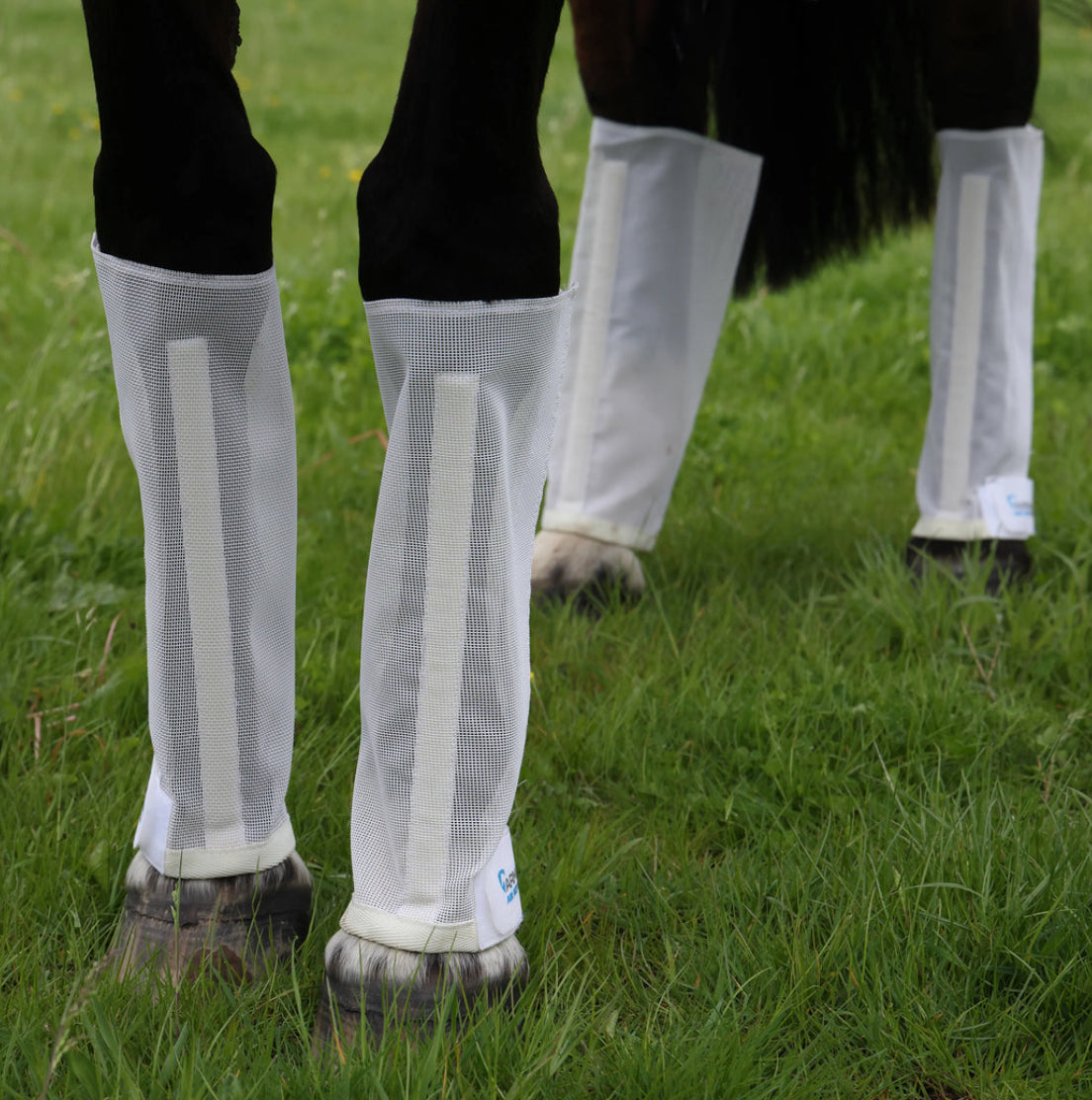 Arma Mesh Fly Boots - Horse & Hound Tack Shop 