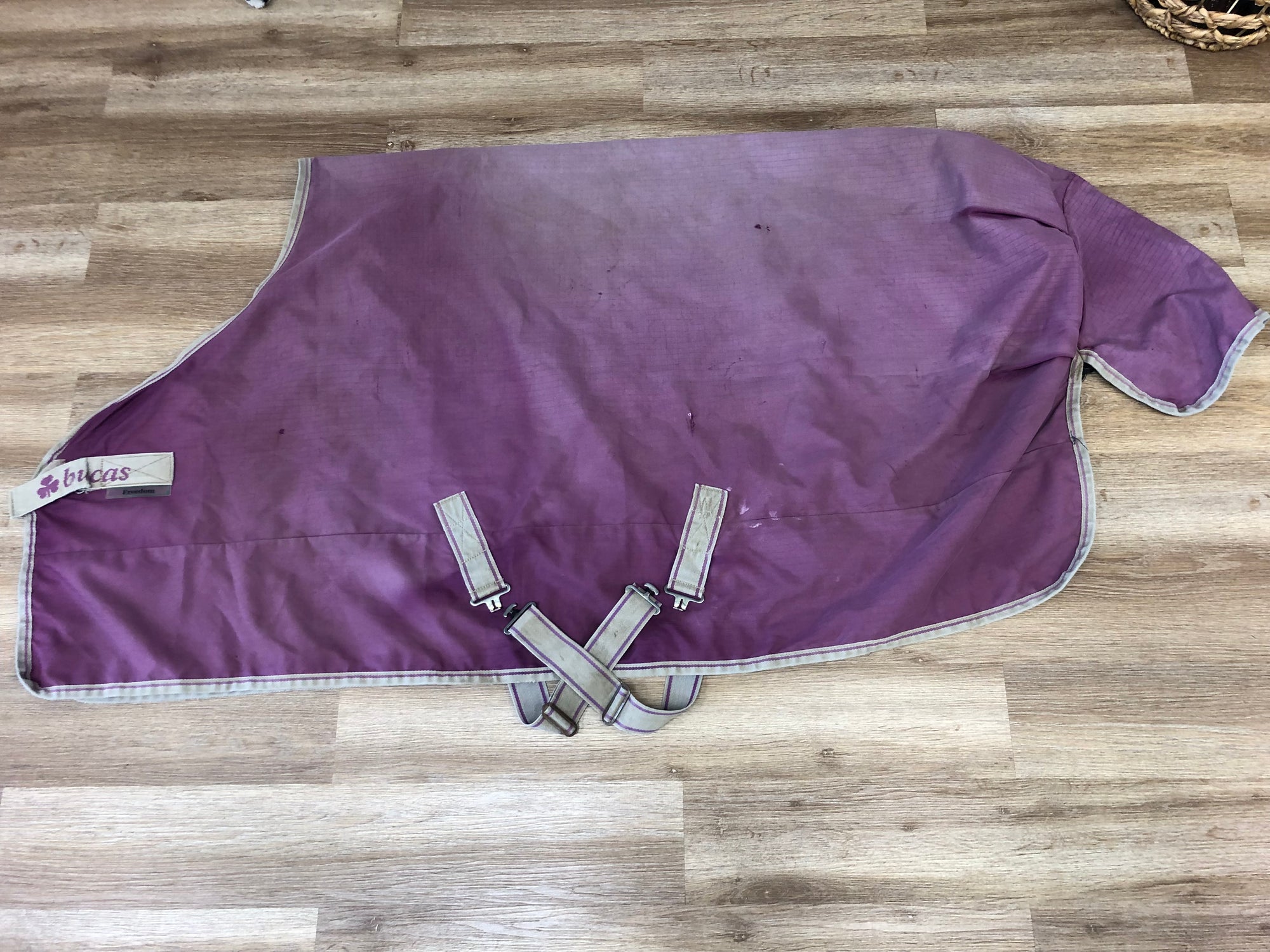 Burgundy Bucas Rain Sheet