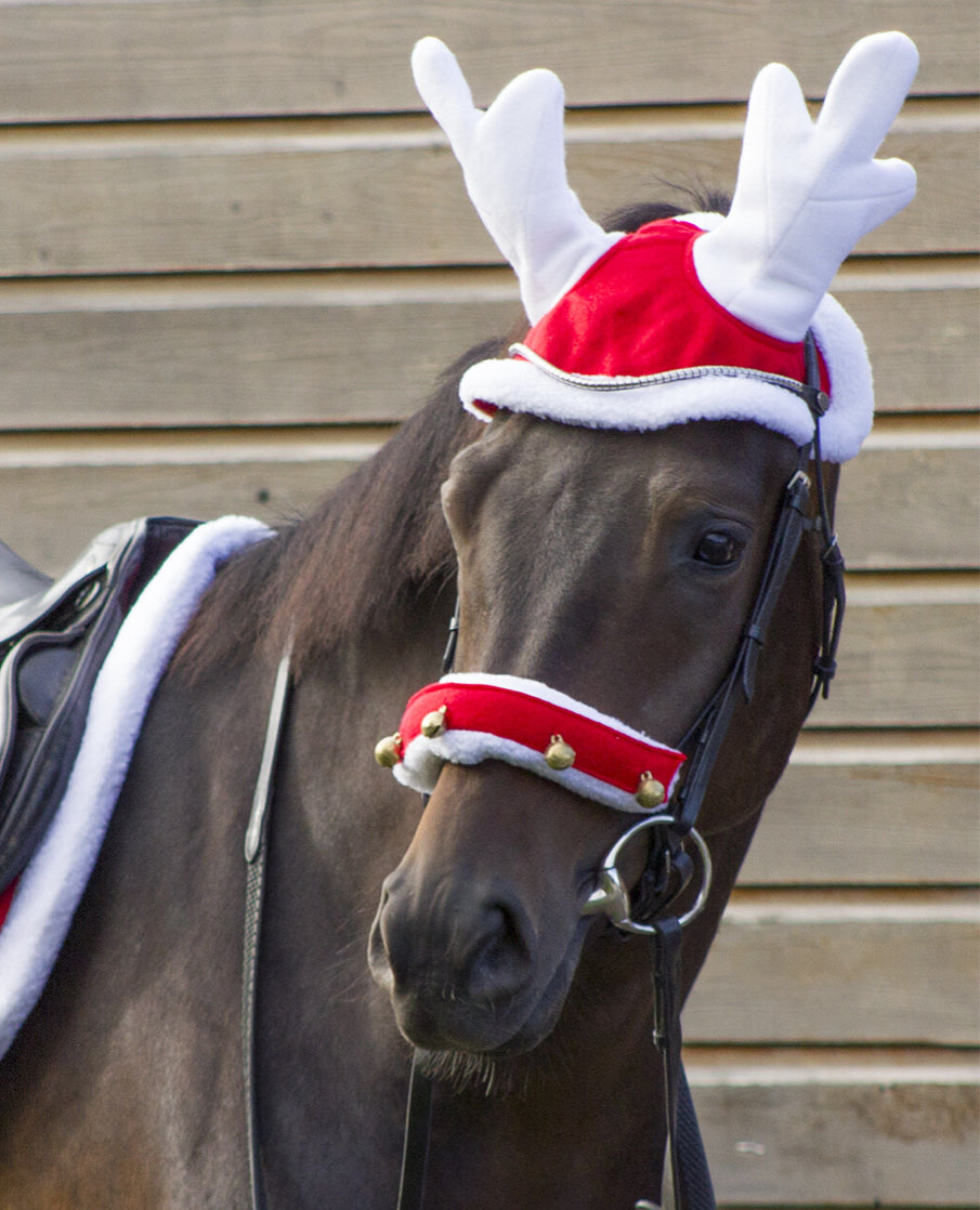 QHP Reindeer Hat - Horse &amp; Hound Tack Shop 