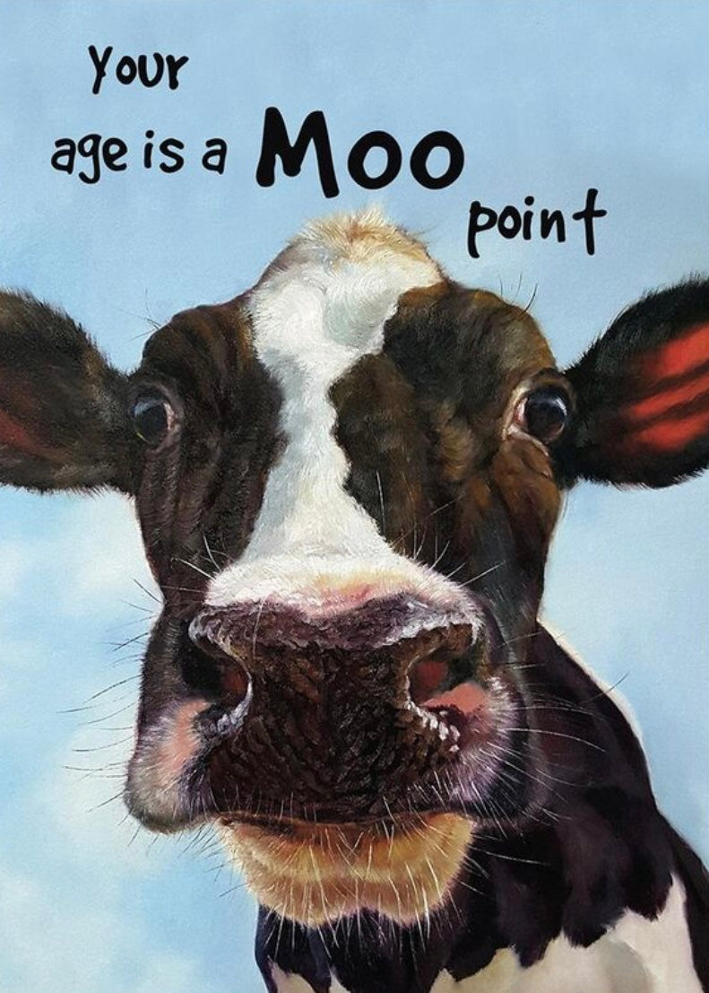 “A Moo Point” Birthday Card - Horse & Hound Tack Shop 