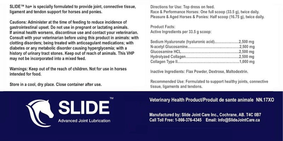 Slide HA+ 2kg - Horse & Hound Tack Shop 