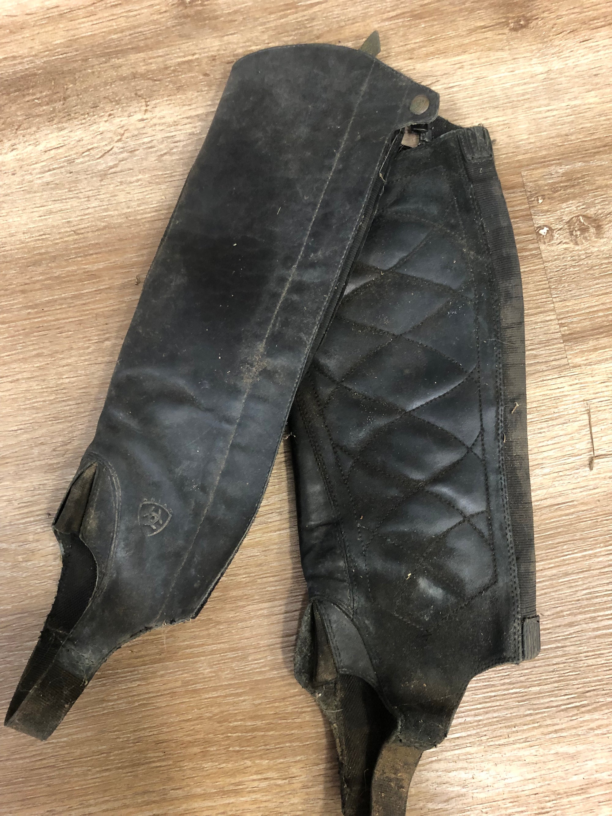 Ariat Classic II Leather Half Chaps - S