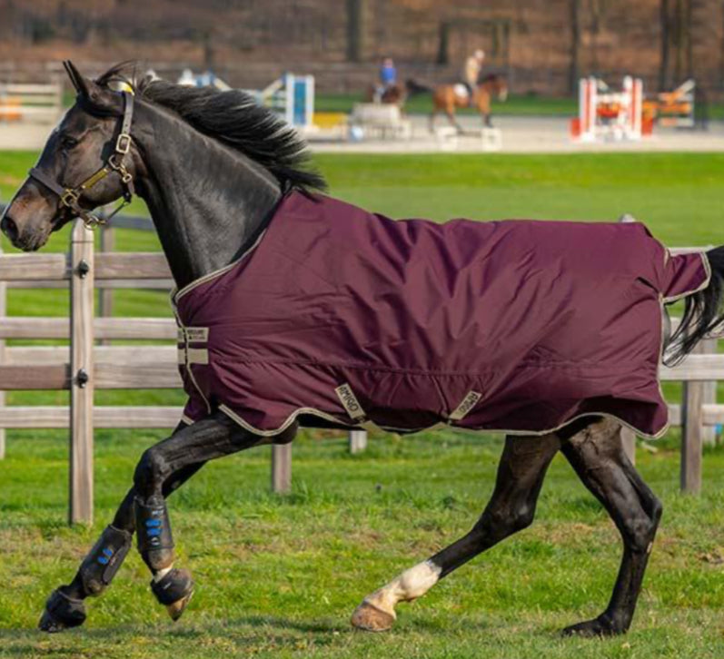 Amigo Hero Ripstop 600D 0g - Mini - Horse & Hound Tack Shop 