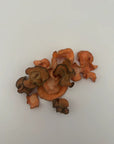Clickees Carrot Horse Treats Molasses Mix - Horse & Hound Tack Shop 