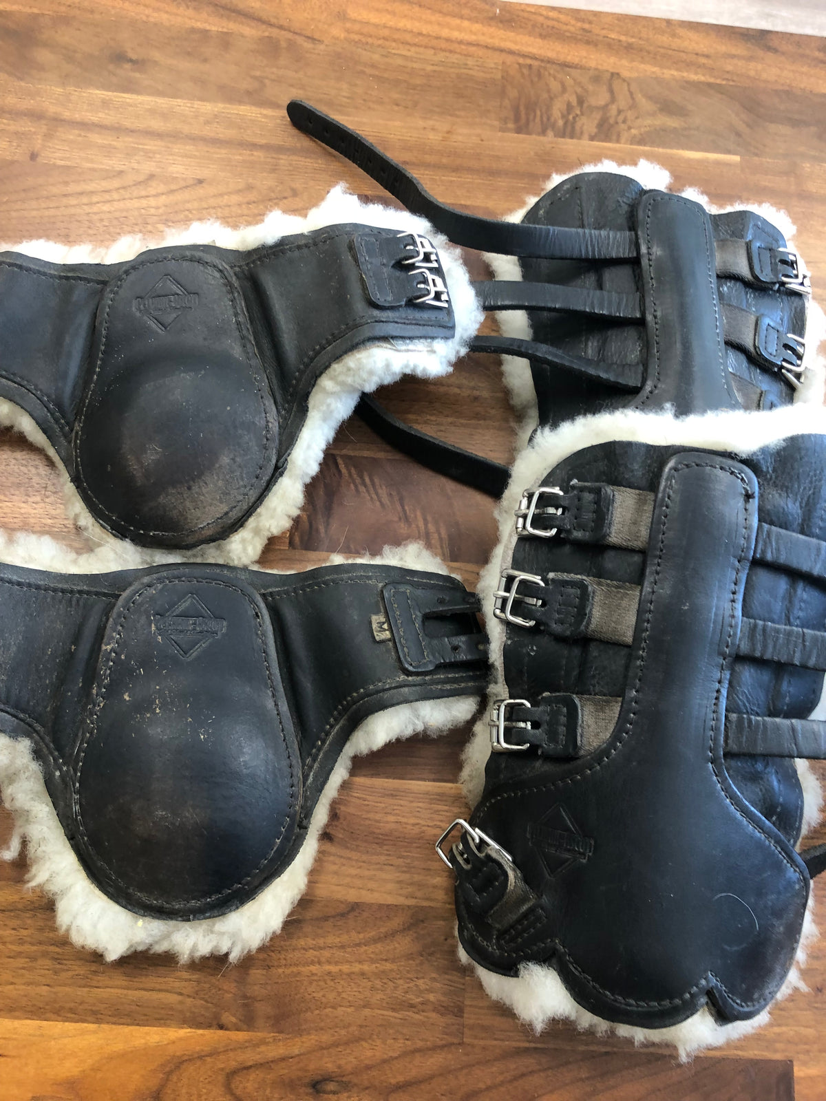 Fine Used Set of 4 Pelham Ascott Tendon Boots - M