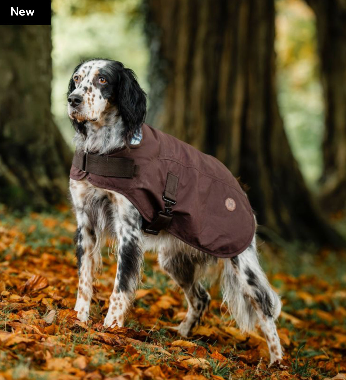 Horseware® Newmarket Heritage Dog Coat - Horse & Hound Tack Shop 