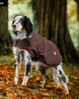 Horseware® Newmarket Heritage Dog Coat - Horse & Hound Tack Shop 