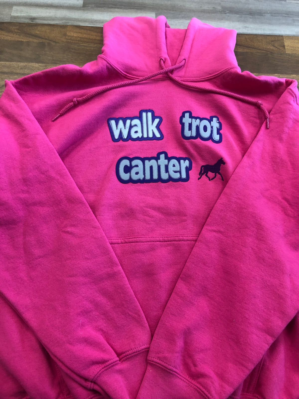 “Walk Trot Canter” Hoodie - Pink/Medium
