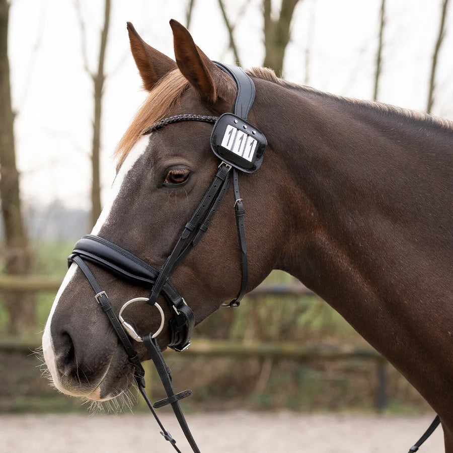 QHP Number Holders (2 Pack) - Horse & Hound Tack Shop 
