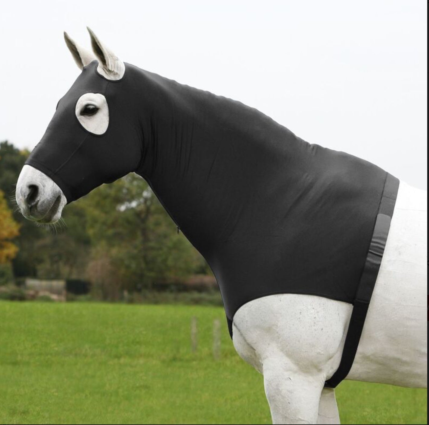 Waldhausen Comfort Combination Lycra Hood
