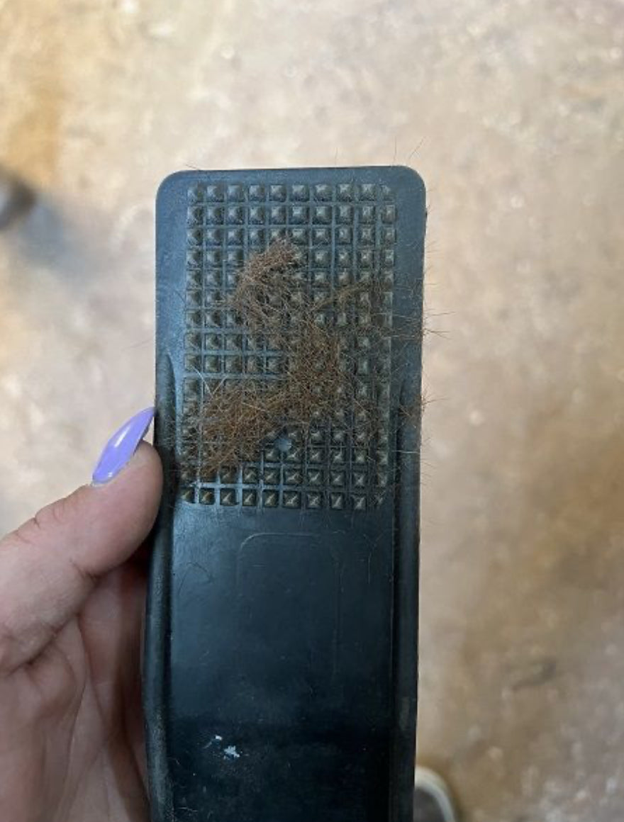 Loose Hair Gone - Curry - Horse & Hound Tack Shop 