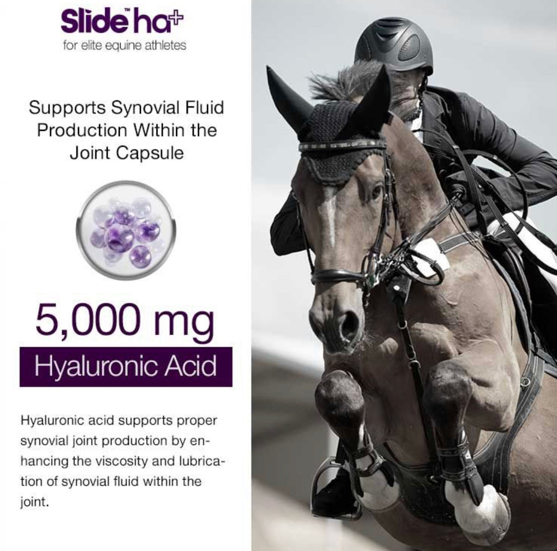 Slide HA+ 2kg - Horse &amp; Hound Tack Shop 