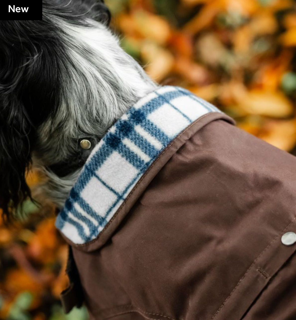 Horseware® Newmarket Heritage Dog Coat - Horse & Hound Tack Shop 