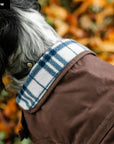 Horseware® Newmarket Heritage Dog Coat - Horse & Hound Tack Shop 