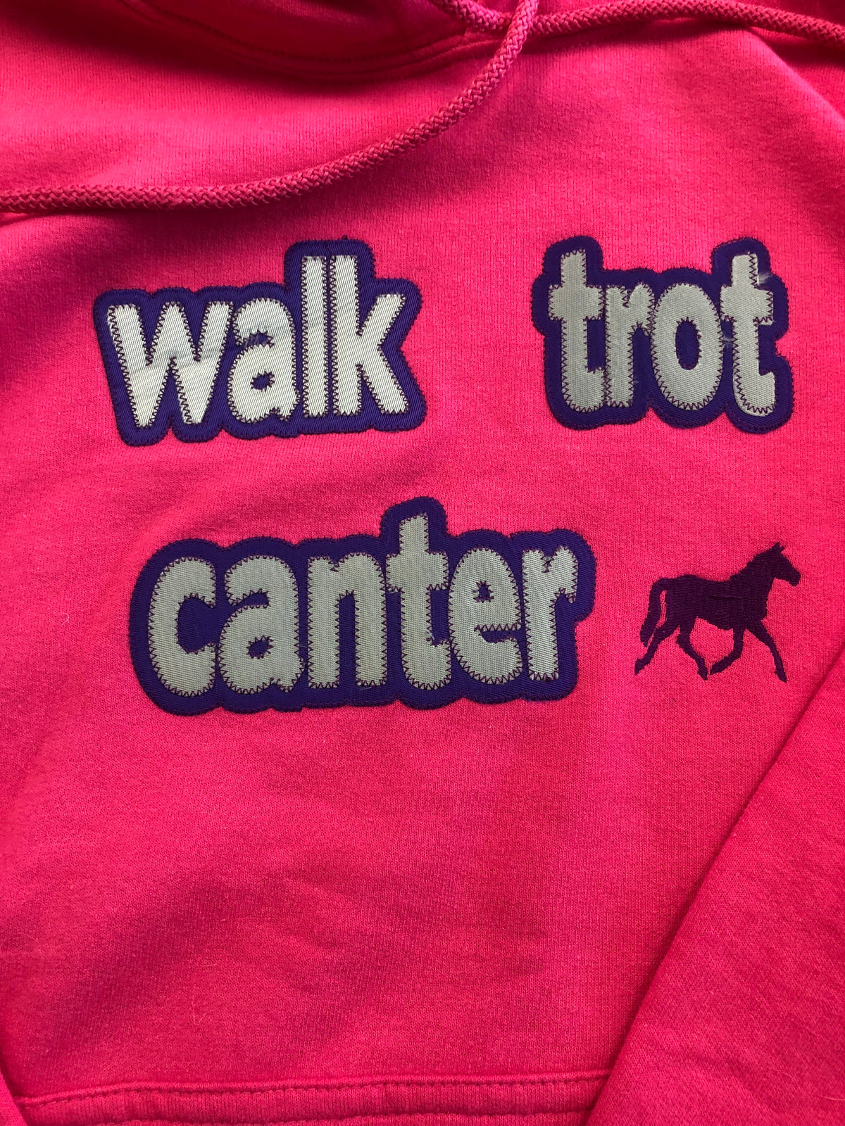 “Walk Trot Canter” Hoodie - Pink/Medium