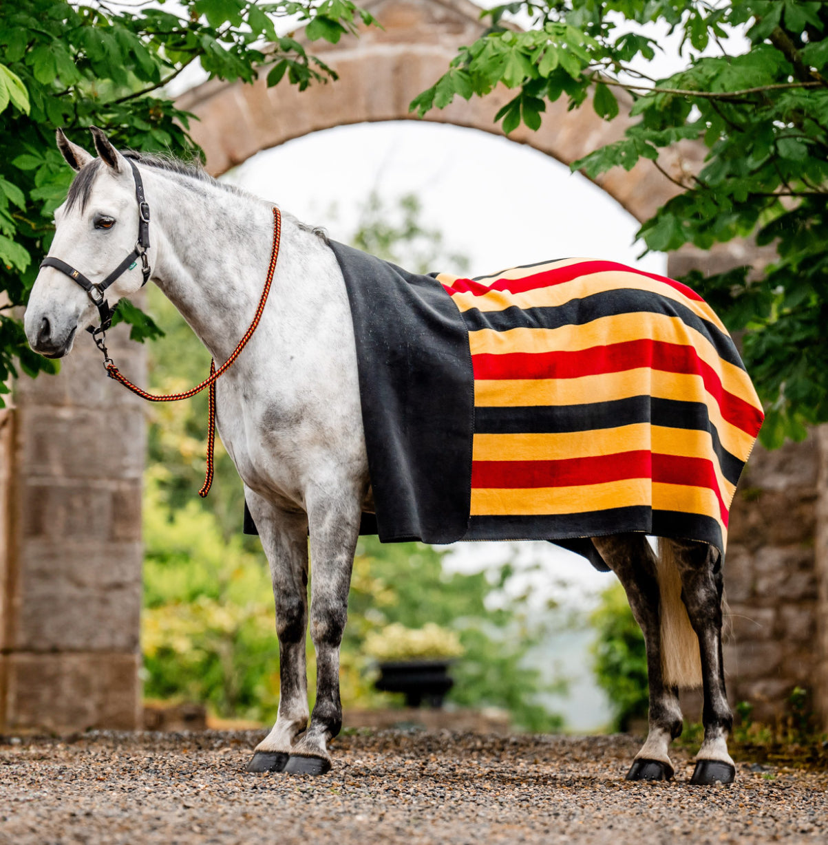 Horseware Newmarket Fleece Blanket - Horse & Hound Tack Shop 