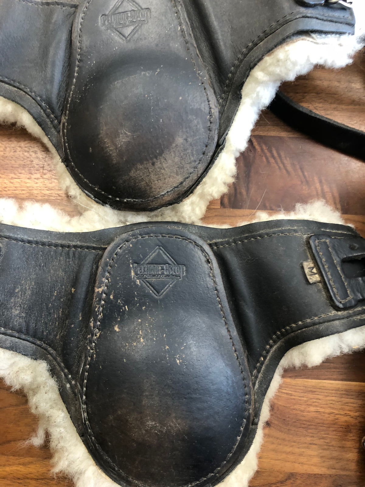 Fine Used Set of 4 Pelham Ascott Tendon Boots - M