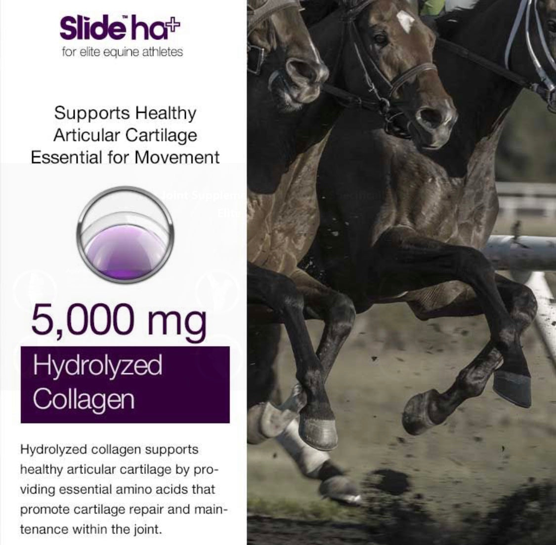 Slide HA+ 2kg - Horse & Hound Tack Shop 