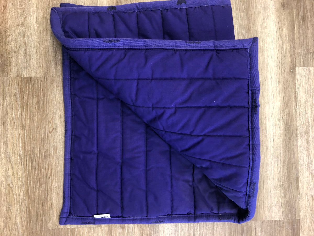 Fine Used PollyPad - Purple