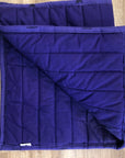 Fine Used PollyPad - Purple