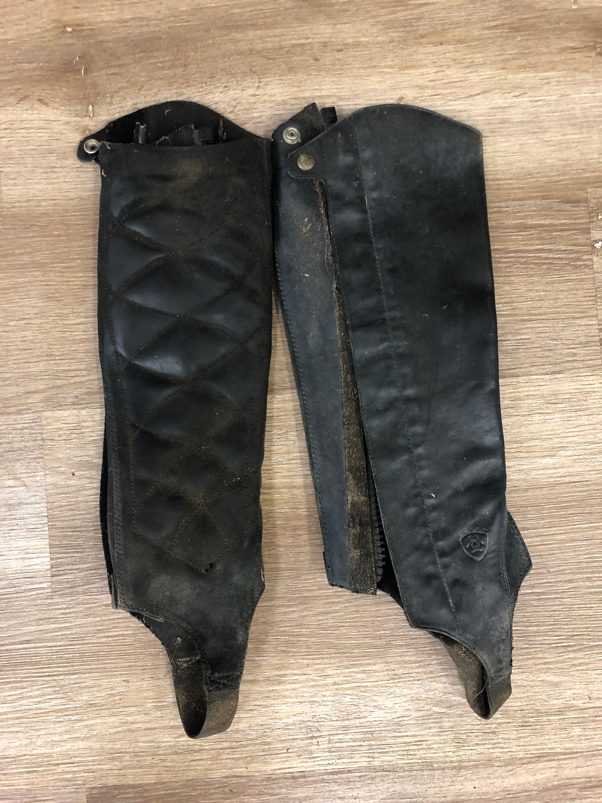 Ariat Classic II Leather Half Chaps - S