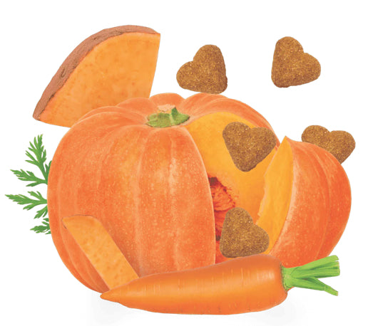 Darford Grain Free Oven Baked Treats - Pumpkin & Vegetable - Horse & Hound Tack Shop 