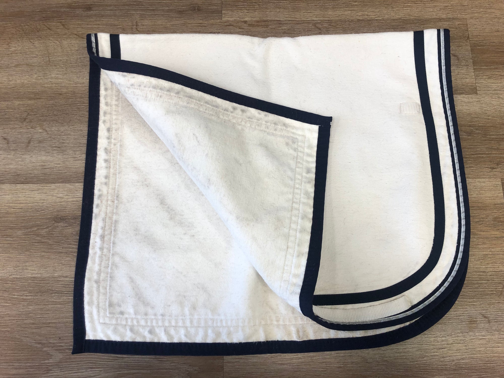 White w/ Navy Trim Dressage Saddle Cloth