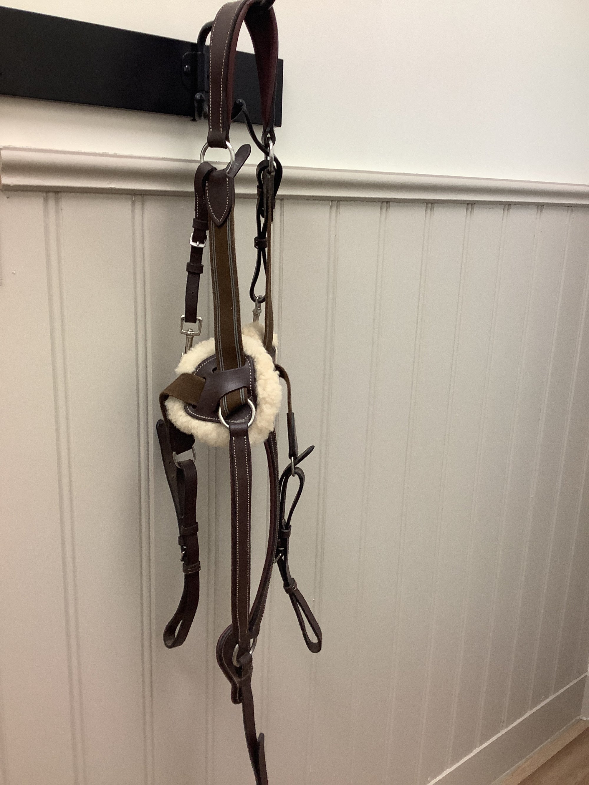 Fine Used HDR 5-Point Breastplate - Horse &amp; Hound Tack Shop 