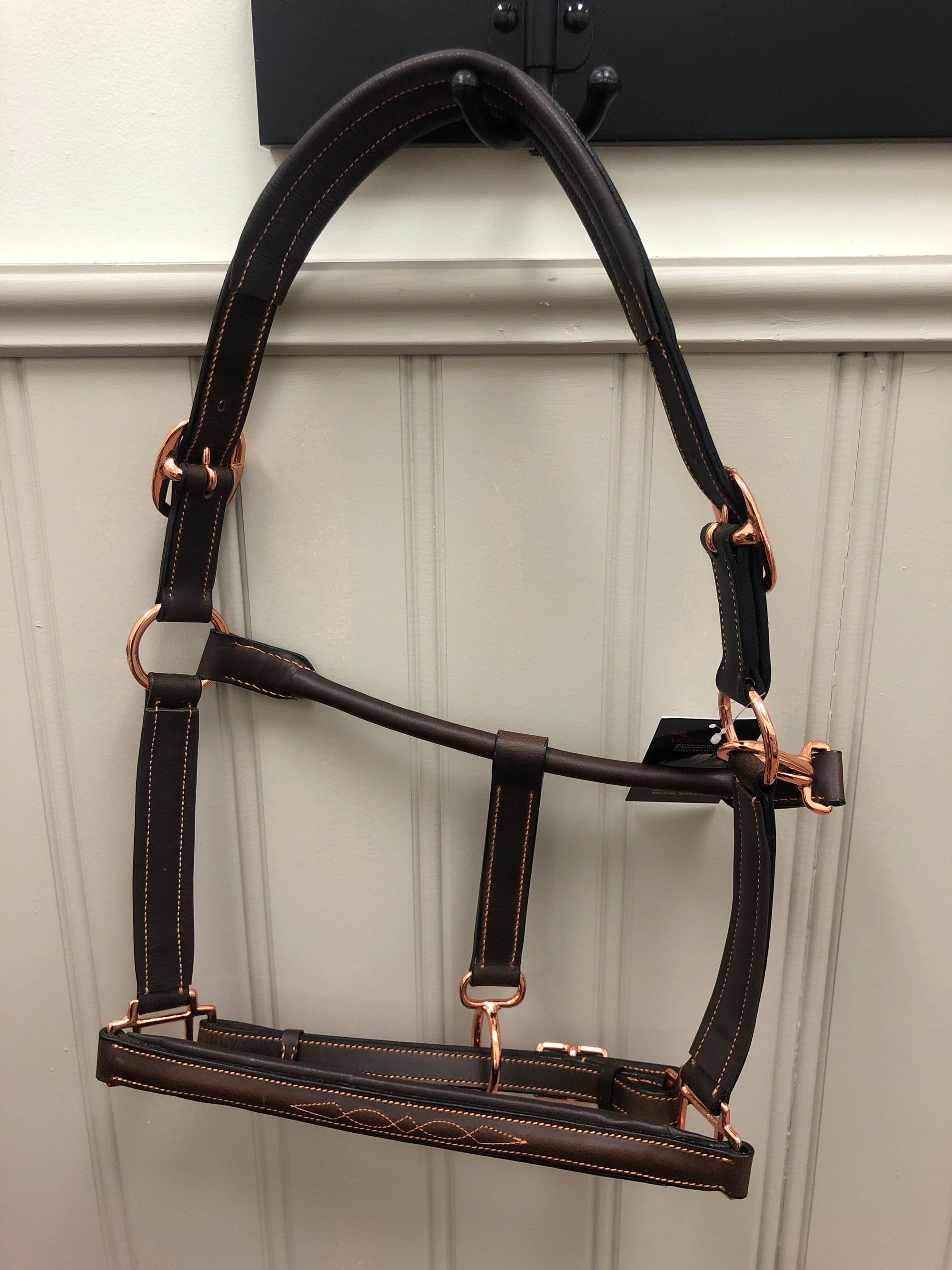 Sage Family Padded Leather Halter with Rose Gold