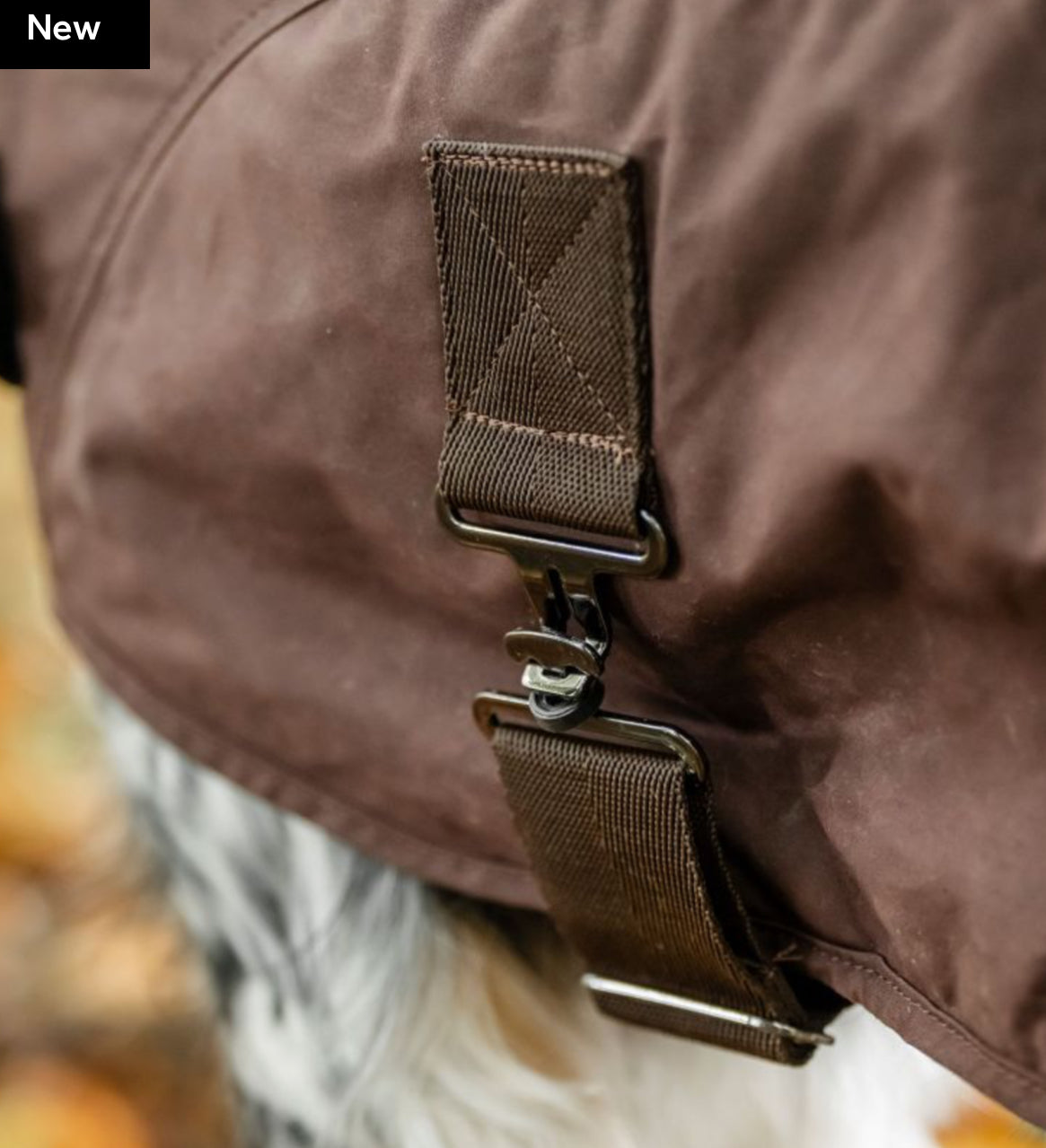 Horseware® Newmarket Heritage Dog Coat - Horse & Hound Tack Shop 