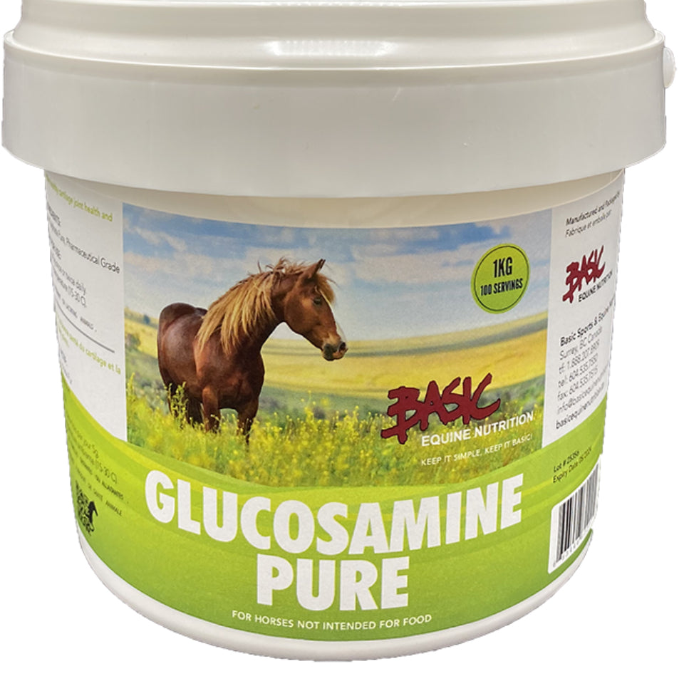 Basic Equine Glucosamine - Horse & Hound Tack Shop 