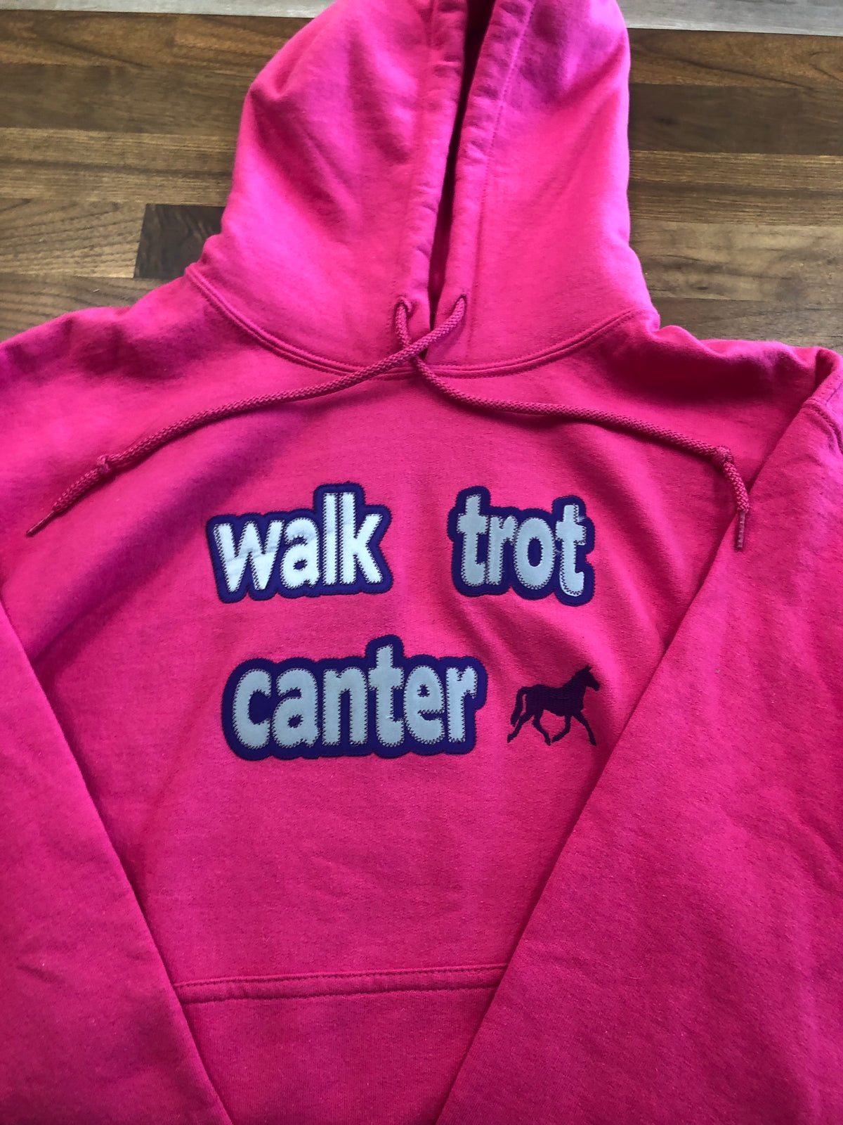 “Walk Trot Canter” Hoodie - Pink/Medium