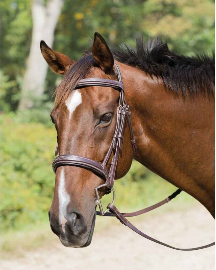 Shires Avignon Wellington Bridle