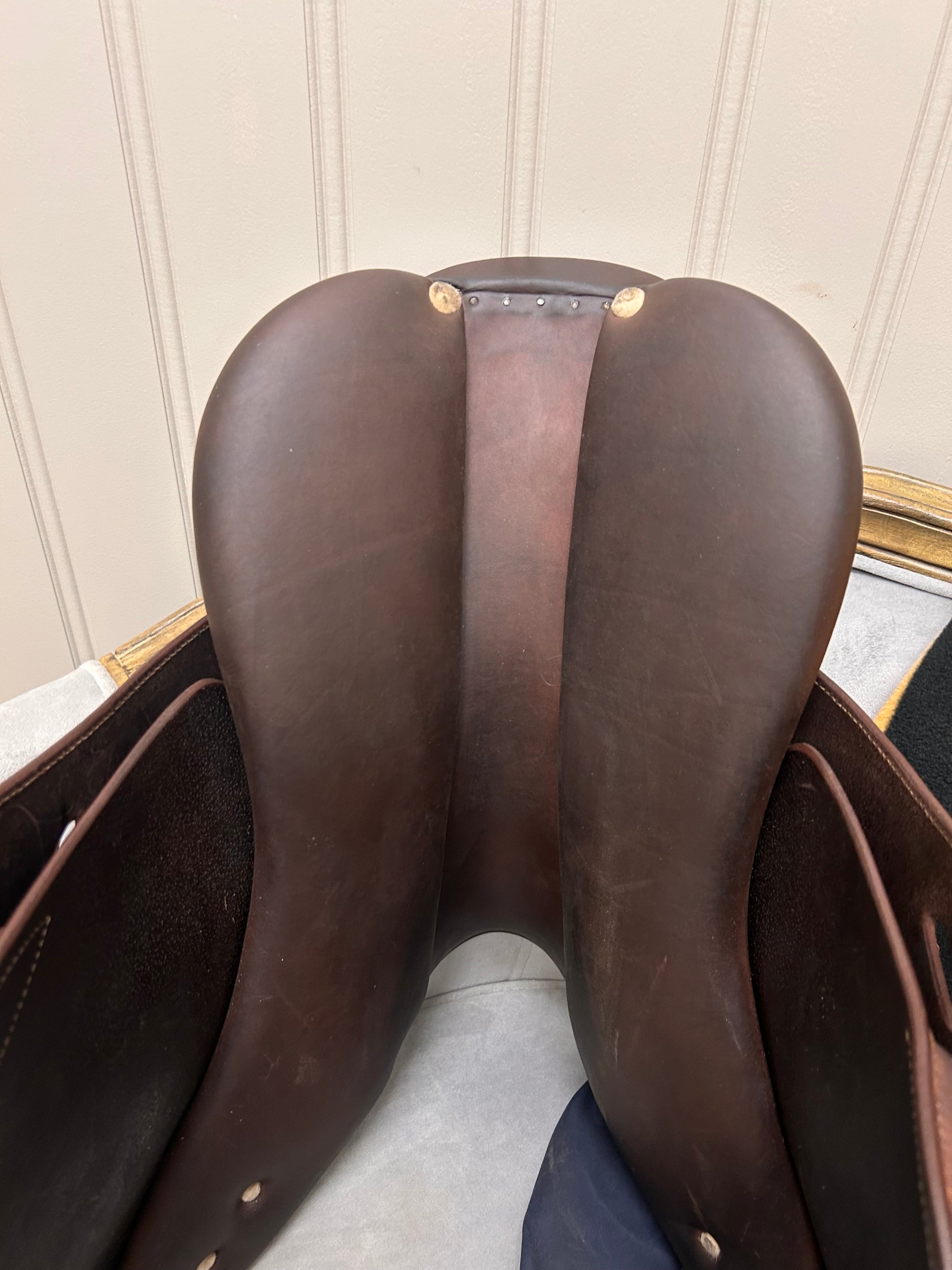 Fine Used 2021 Antares Altair Saddle - Horse &amp; Hound Tack Shop 