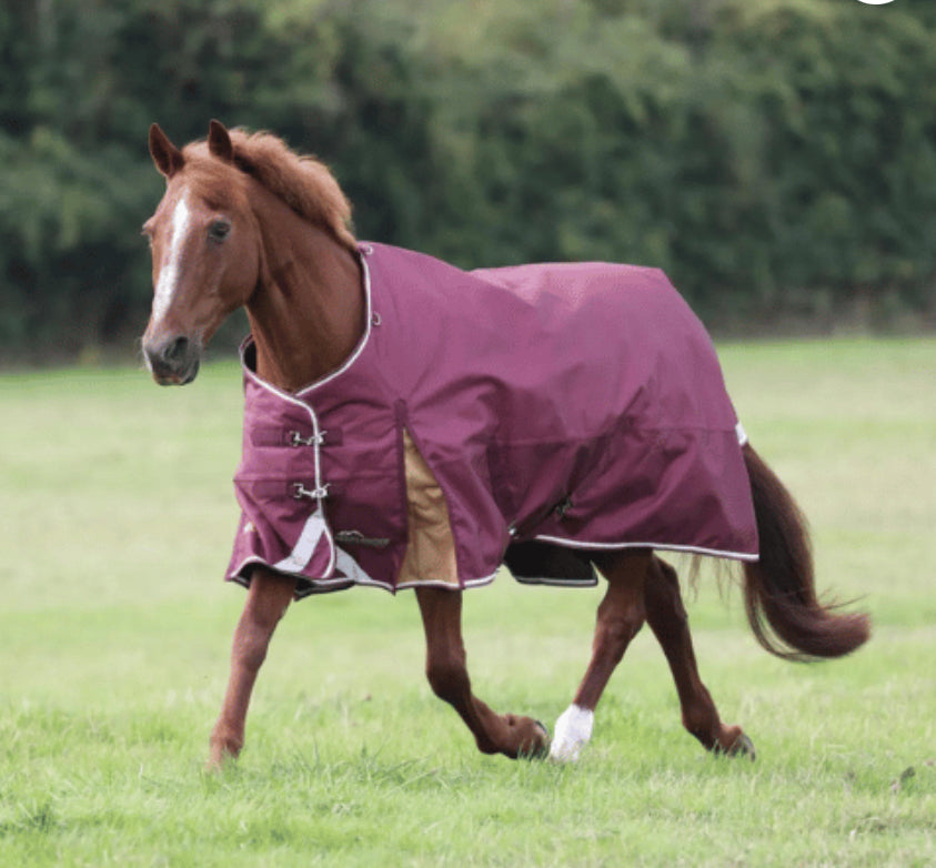 Shires Highlander Plus Standard Neck - Horse & Hound Tack Shop 