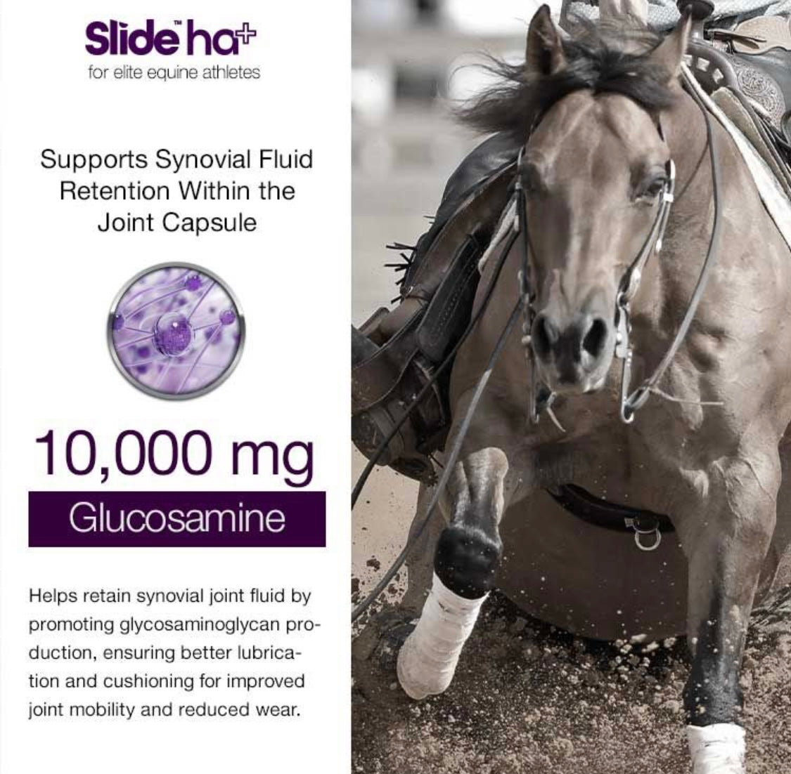 Slide HA+ 2kg - Horse &amp; Hound Tack Shop 