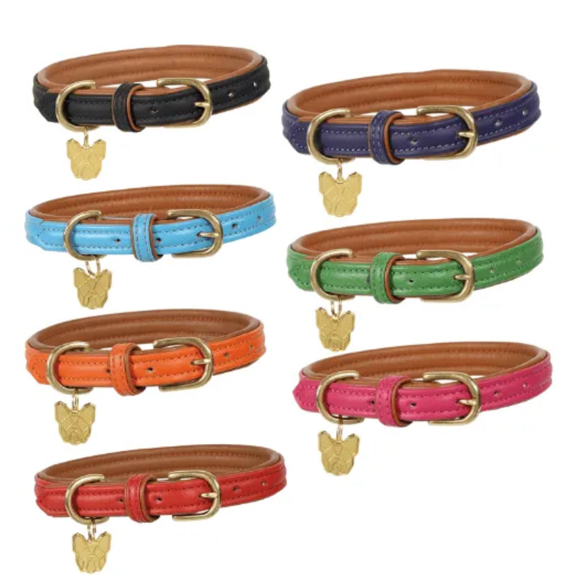 Digby & Fox Padded Leather Dog Collar - Horse & Hound Tack Shop 