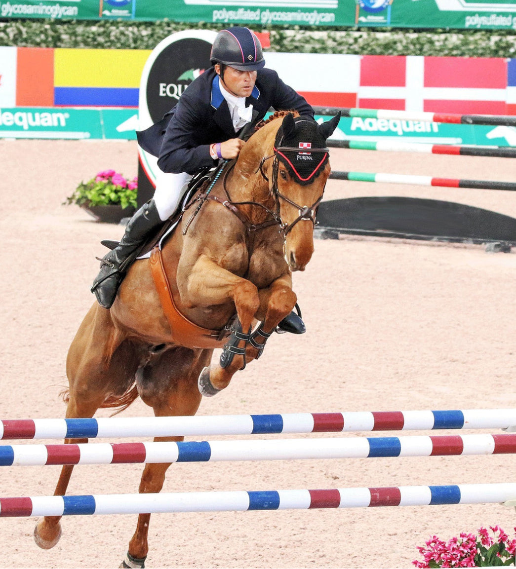 Majyk Equipe Stadium Jump Tendon Boot - Front - Horse & Hound Tack Shop 